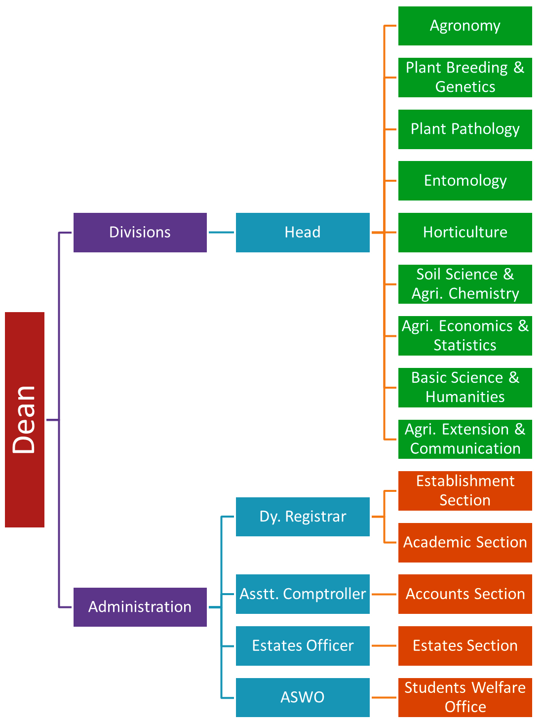  Glimpses Organizational Structure 